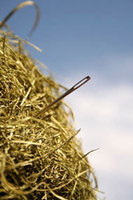 Needle in Haystack