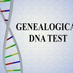 GENEALOGICAL DNA TEST concept