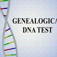 Genealogical DNA Test caption next to DNA strand illustration Genealogical DNA Test caption next to DNA strand illustration