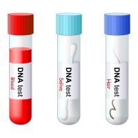 Genetic testing. Test tube with blood, saliva and hair. DNA testing used to diagnose genetic disorders, or determine biological relatives (mother and father), and Forensic testing.